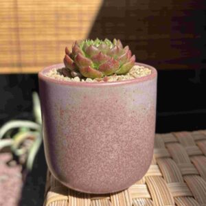 10 Souvenir Maceta Cerámica (Burdeos)